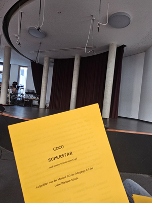 Musical Coco Superstar